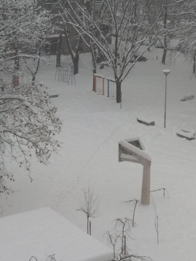 Novi Sad zavejan dočekao jutro, na sremskoj strani do 60 cm snega