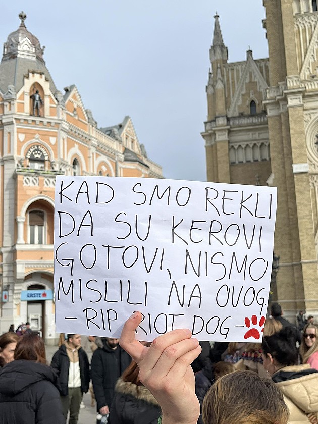 Veliki broj Novosađana i njihovih ljubimaca odao poštu nastradalom psu Dona