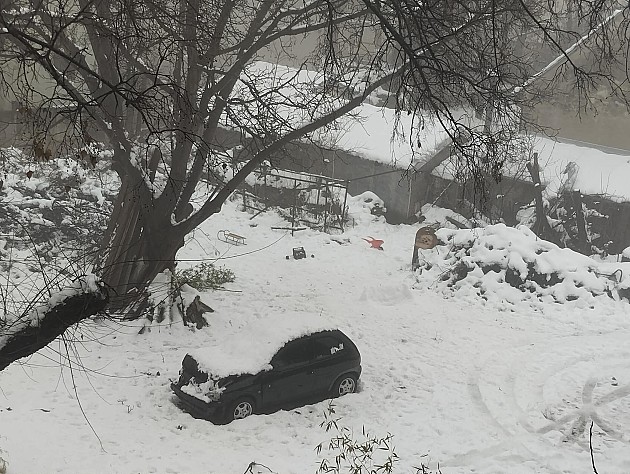 Studenti u blokadi organizuju akciju &bdquo;Čistimo zajedno Novi Sad&rdquo;