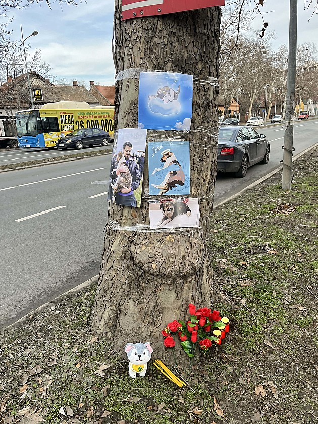 Održan pomen psu Doni (FOTO)