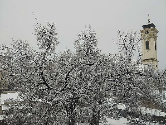Pao prvi sneg, zabeleo se Novi Sad