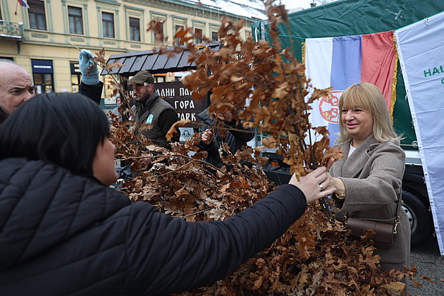 Podeljeni besplatni badnjaci na Trgu slobode i u okolini Novog Sada