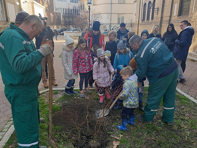 Deca sadila drveće povodom obeležavanja jevrejskog praznika