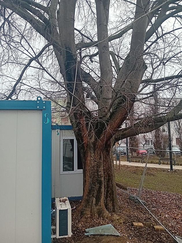 Počinje hortikulturno uređenje prostora oko Banovine i podzemne garaže