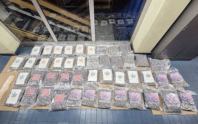 Novosadska policija pretresom kamiona pronašla 50 kilograma marihuane