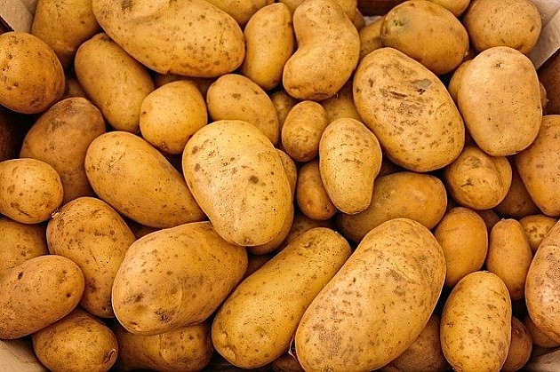Uz pomoć „Tata Novosađana“ danas prodato više od 17 tona ivanjičkog krompira