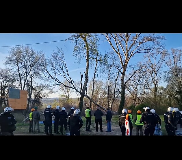 Aktivisti se sukobili s policijom na Šodrošu, dve osobe privedene, više stabala posečeno