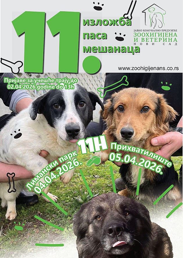 Izložba pasa mešanaca početkom aprila