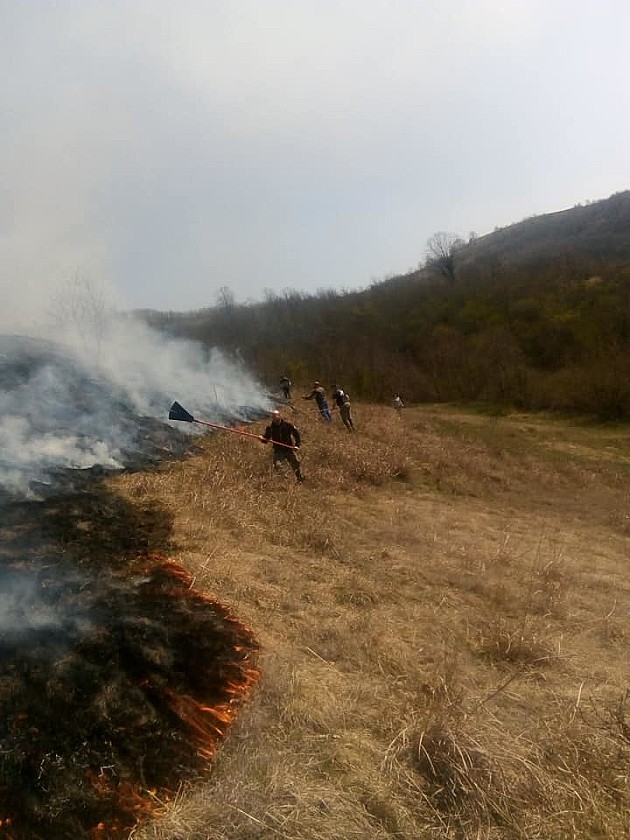 Roštiljali na Fruškoj gori i izazvali požar, izgorelo 10 hektara livade