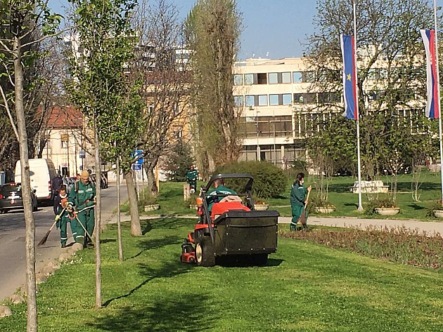 Uređenje zelenila u Novom Sadu i prigradskim naseljima