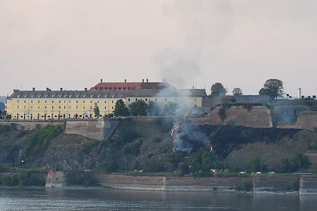 Požar na zidinama Petrovaradinske tvrđave, gorelo rastinje na obodu