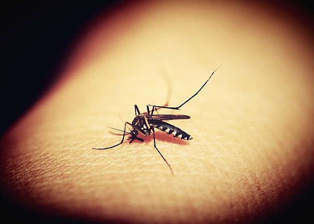 Od ponedeljka tretmani protiv komaraca iz vazduha i sa zemlje