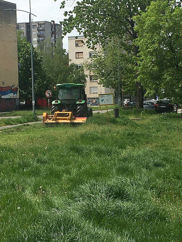 Radnici JKP „Gradsko zelenilo“ kose travu na više lokacija