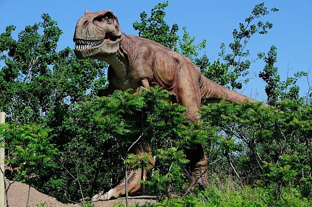 Dino park biće postavljen do 1. septembra
