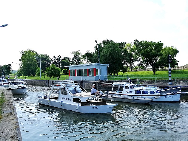 80 brodića u regati „Vode Vojvodine“ 2019