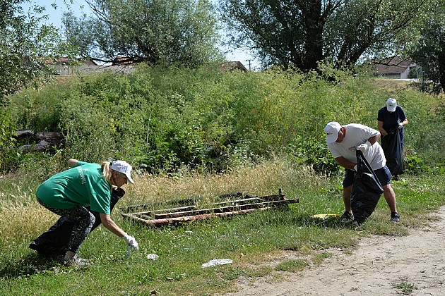 U akciji čišćenja obale Dunava kod Futoga prikupljeno oko 40 kesa smeća