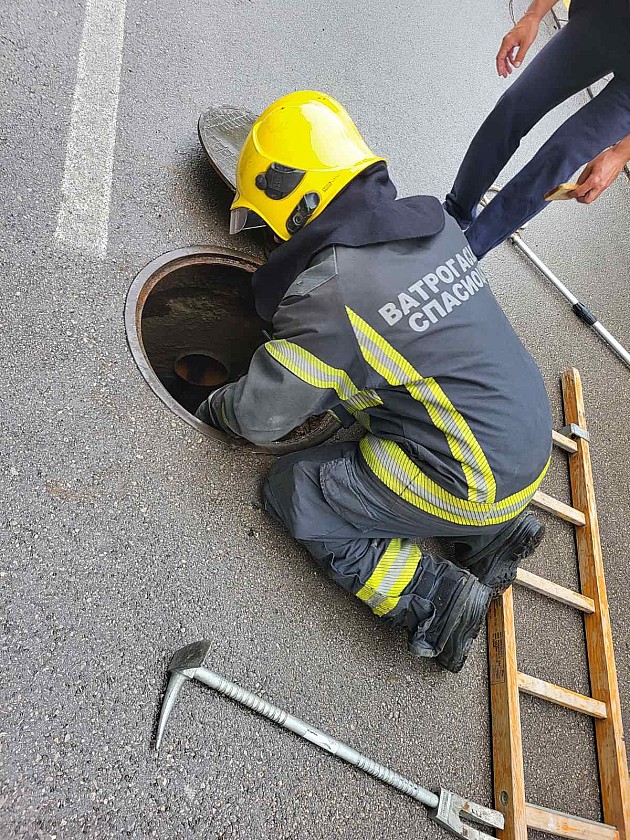 Vatrogasci spasili psa koji je bio zaglavljen u šahtu