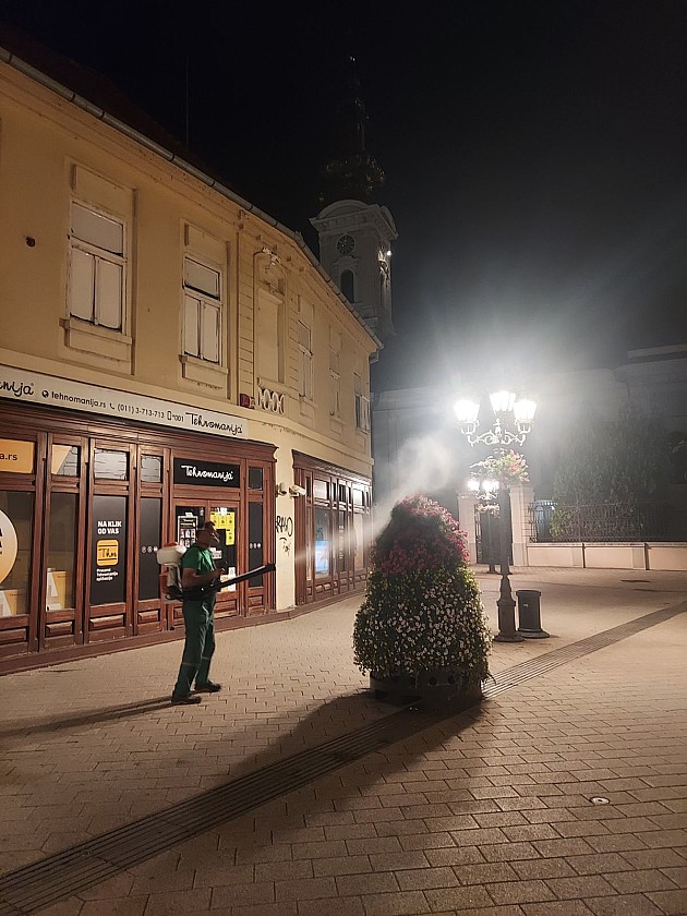 Cveće, drveće i šiblje zaliva se u prvoj i trećoj smeni