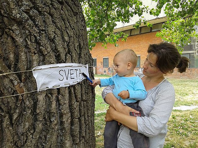 Drveće u parku kod Muzeja Vojvodine dobilo imena