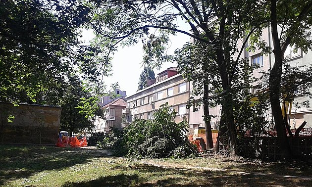 Peticijom protiv uništavanja zelene površine kod Muzeja Vojvodine