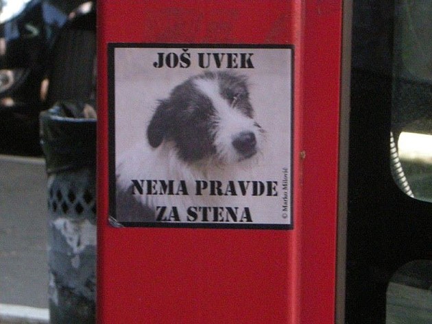 "Pravda za Stena" na novosadskim ulicama