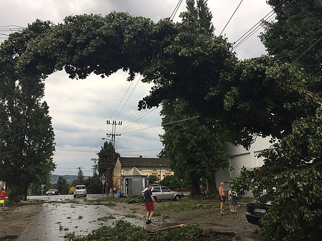 Oluja napravila haos u Novom Sadu