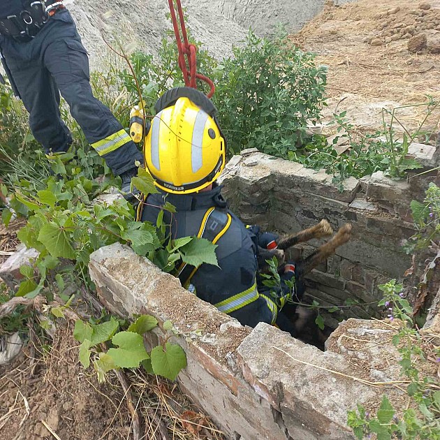 Novosadski vatrogasci spasili psa iz bunara dubokog 20 metara