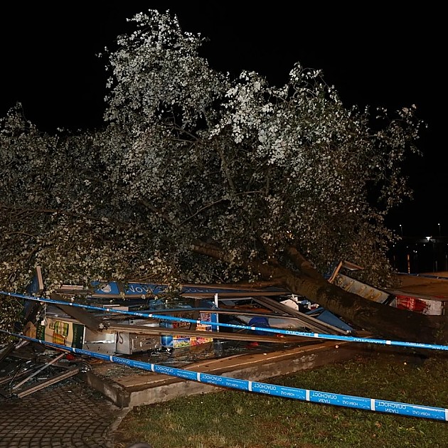 Teške posledice nevremena: Jedno dete poginulo, 30 osoba u Urgentnom centru, polomljeno drveće, leteli krovovi...