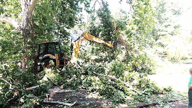 Nakon nevremena uklonjeno polomljeno drveće i granje na 173 lokacije