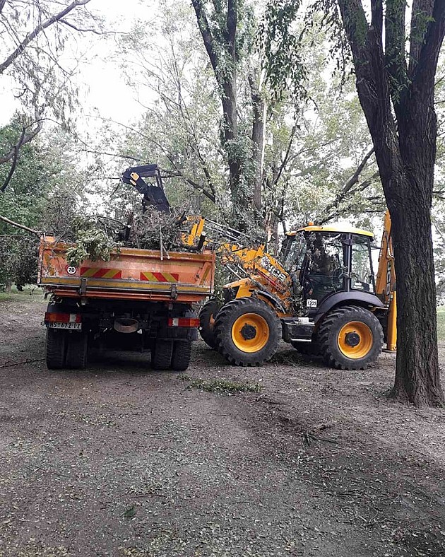 U nevremenu oboreno i polomljeno 2.276 stabala u Novom Sadu