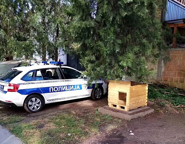 Novosadska policija postavila kućicu za pse lutalice blizu stanice