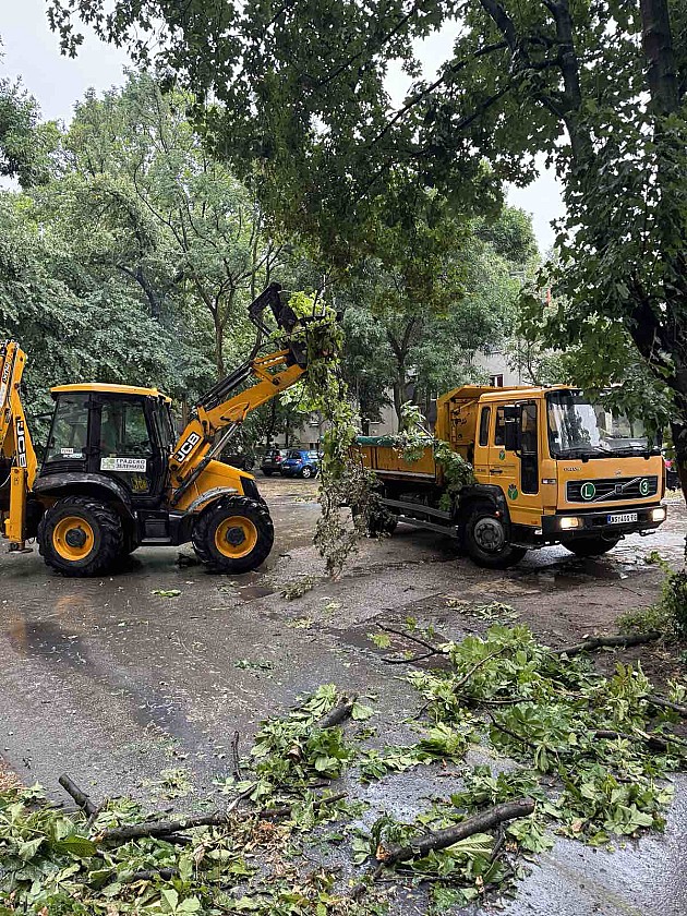 Radnici „Gradskog zelenila“ juče sanirali posledice nevremena na više od 40 lokacija