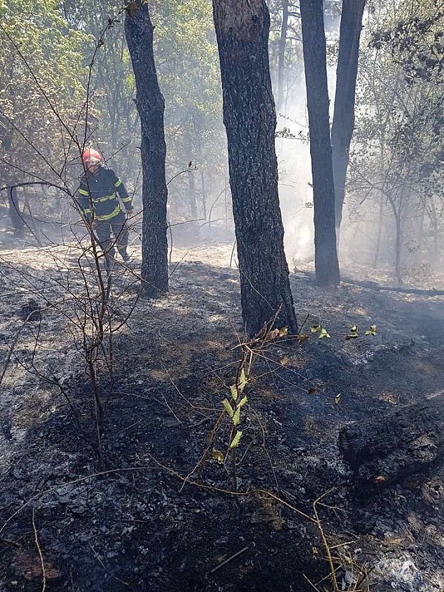 Lokalizovan požar kod Bukovca 