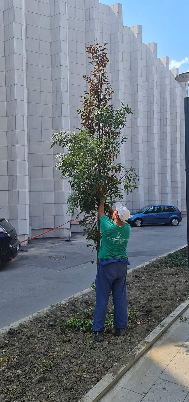 Obeležavanje „Oluje“ zahtevalo „oživljavanje“ suvog drveća, prekrečavanje grafita, izmenu režima saobraćaja i Vučevićevo nerazumevanje za letovanjem u Hrvatskoj
