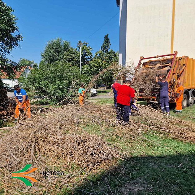 Radnici JKP „Čistoća“ i JKP „Novosadska toplana“ uklanjaju granje i otpad sa dečjih igrališta
