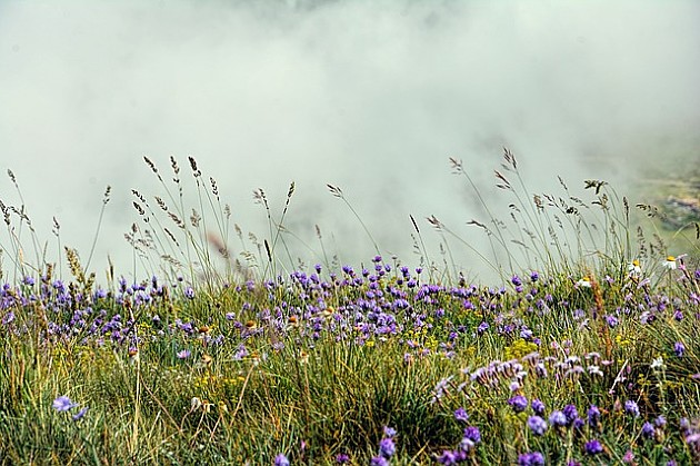 I dalje veoma toplo, meteorolozi najavljuju pljuskove