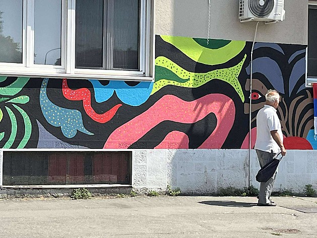 Novosadske fasade – od ljubavnih poruka do državnih zastava