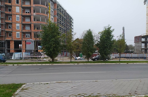 Stabla bagrema sa Bulevara Evrope biće premeštena u Limanski park