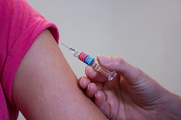 Stigle vakcine protiv gripa