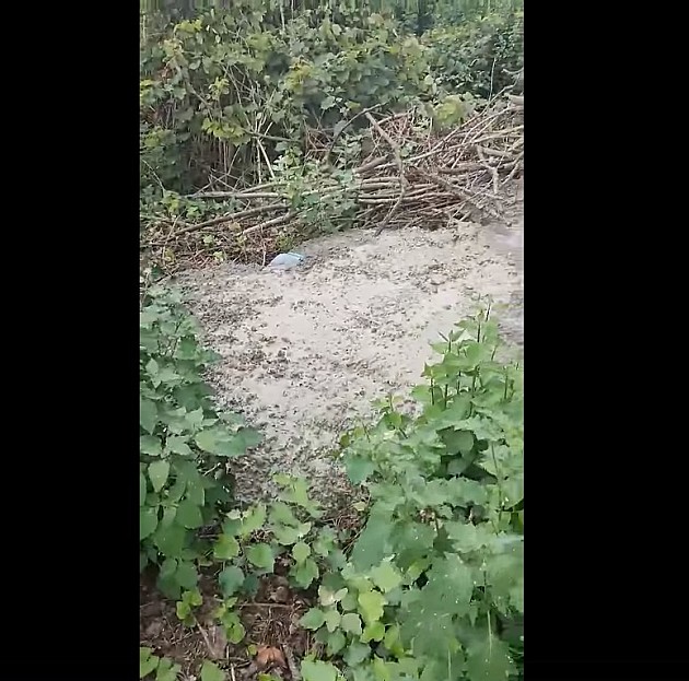 Aktivisti sa Šodroša zatekli kamion kako izliva višak betona u šumu, danas ga uklonili
