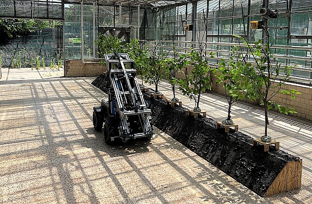 Robot „Gari“ pomaže u uzgoju borovnica