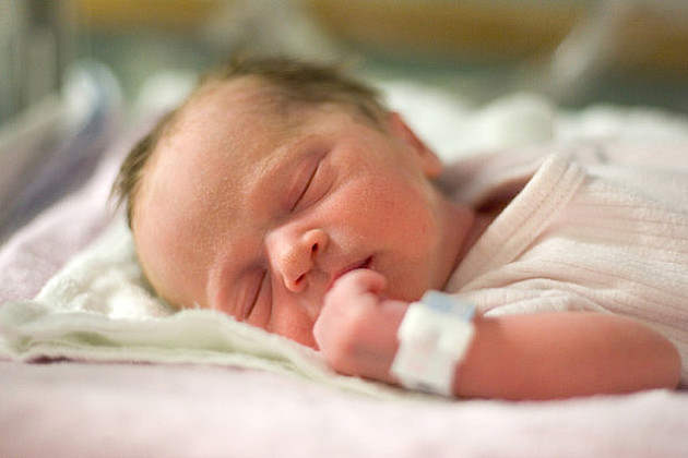 Dečaci blizanci i još 18 beba rođeno za 24 sata
