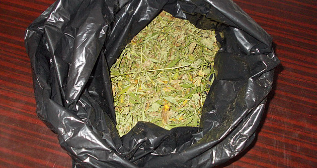Zaplenjeno 26 kilograma marihuane