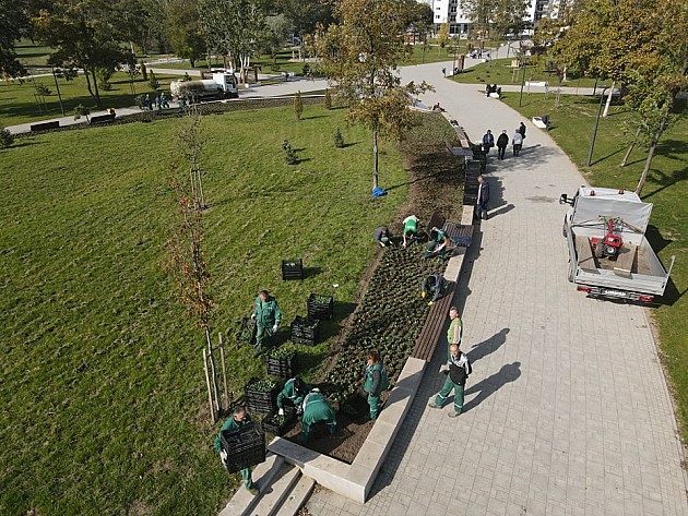 Počelo veliko jesenje ulepšavanje novosadskih parkova