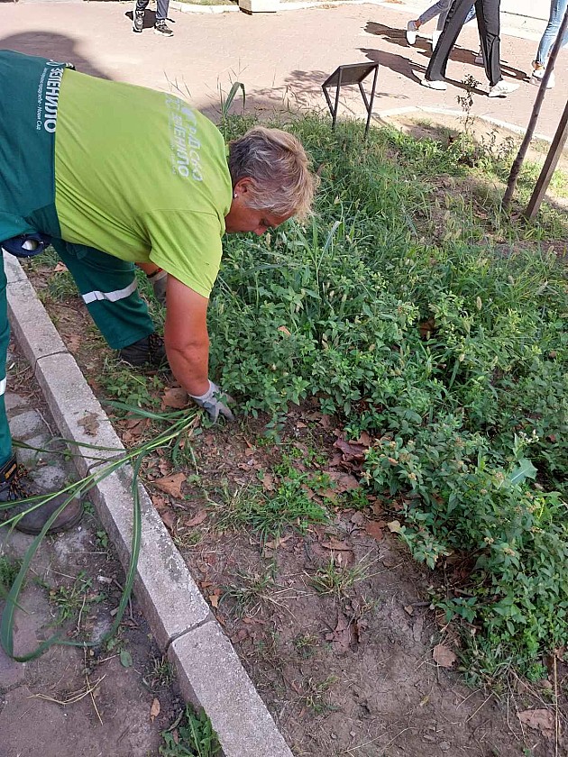 Radnici JKP „Gradsko zelenilo“ angažovani na košenju trave, zalivanju ruža i drvoreda