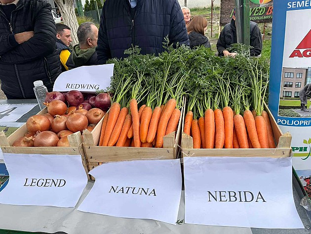 „Šargarepijada“ po treći put u Begeču