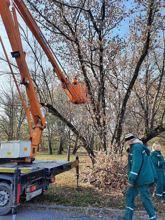 Radnici JKP „Gradsko zelenilo“ uređuju Goranski park i Trg mira