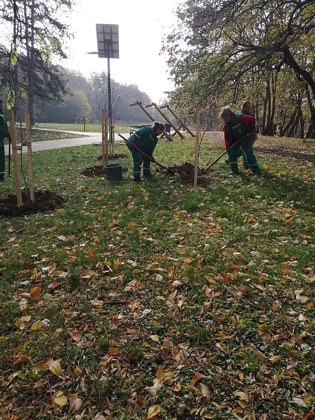Radnici JKP „Gradsko zelenilo“ uređuju Kamenički park
