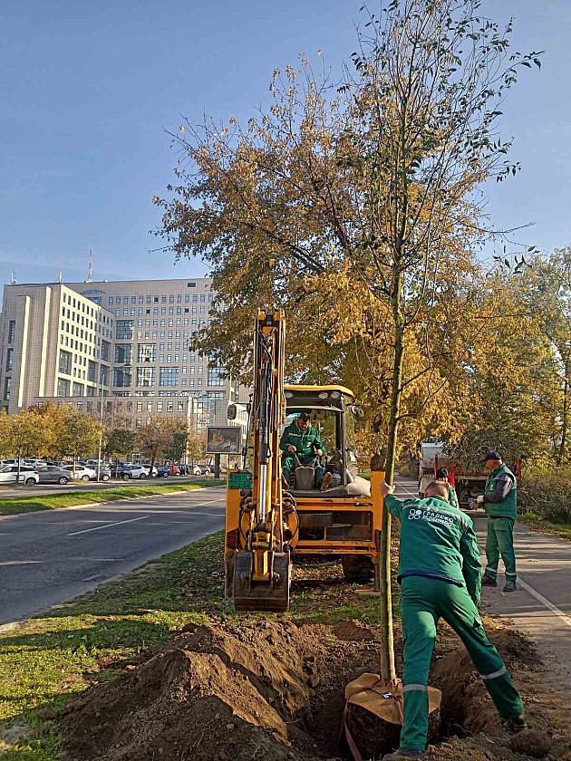 Počelo redovno ozelenjavanje grada