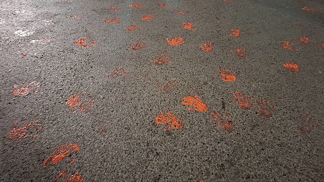 Novosađani se i sinoć okupili na skupu podrške Dijani Hrki, troje privedeno zbog šaranja prostorija SNS